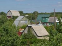 В Воронежской области подскочили цены на дачи
